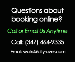 CityRover NY Walking Tours